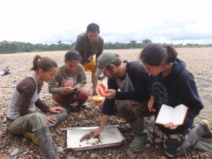 Photo of students examining aquatic specimen