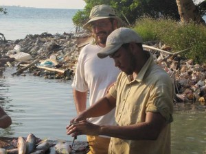 assessing fishery