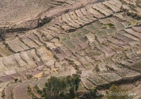 Chaco terraces