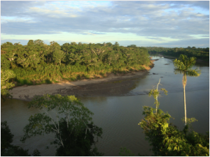 View of Tambopata River